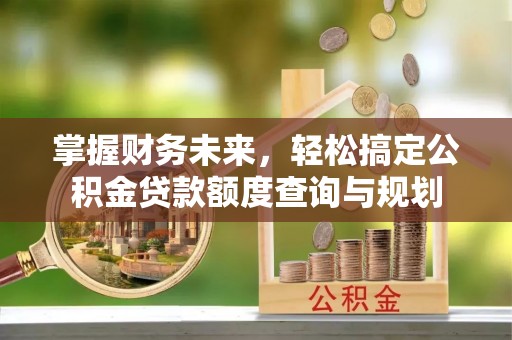 涪陵掌握财务未来，轻松搞定公积金贷款额度查询与规划