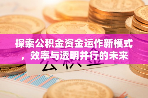 涪陵探索公积金资金运作新模式，效率与透明并行的未来