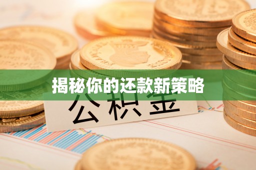 涪陵揭秘你的还款新策略