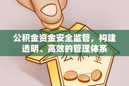 涪陵公积金资金安全监管，构建透明、高效的管理体系