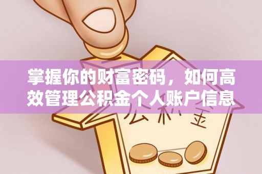 涪陵掌握你的财富密码，如何高效管理公积金个人账户信息