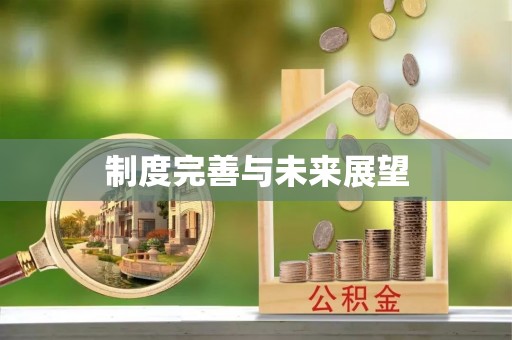 涪陵制度完善与未来展望