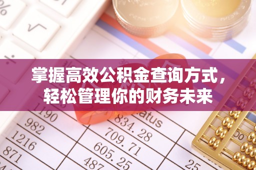 涪陵掌握高效公积金查询方式，轻松管理你的财务未来