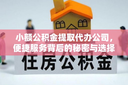 涪陵小额公积金提取代办公司，便捷服务背后的秘密与选择指南