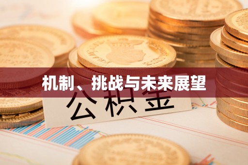涪陵机制、挑战与未来展望