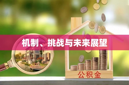 涪陵机制、挑战与未来展望