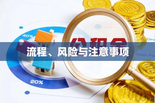 涪陵流程、风险与注意事项