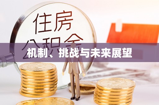 涪陵机制、挑战与未来展望